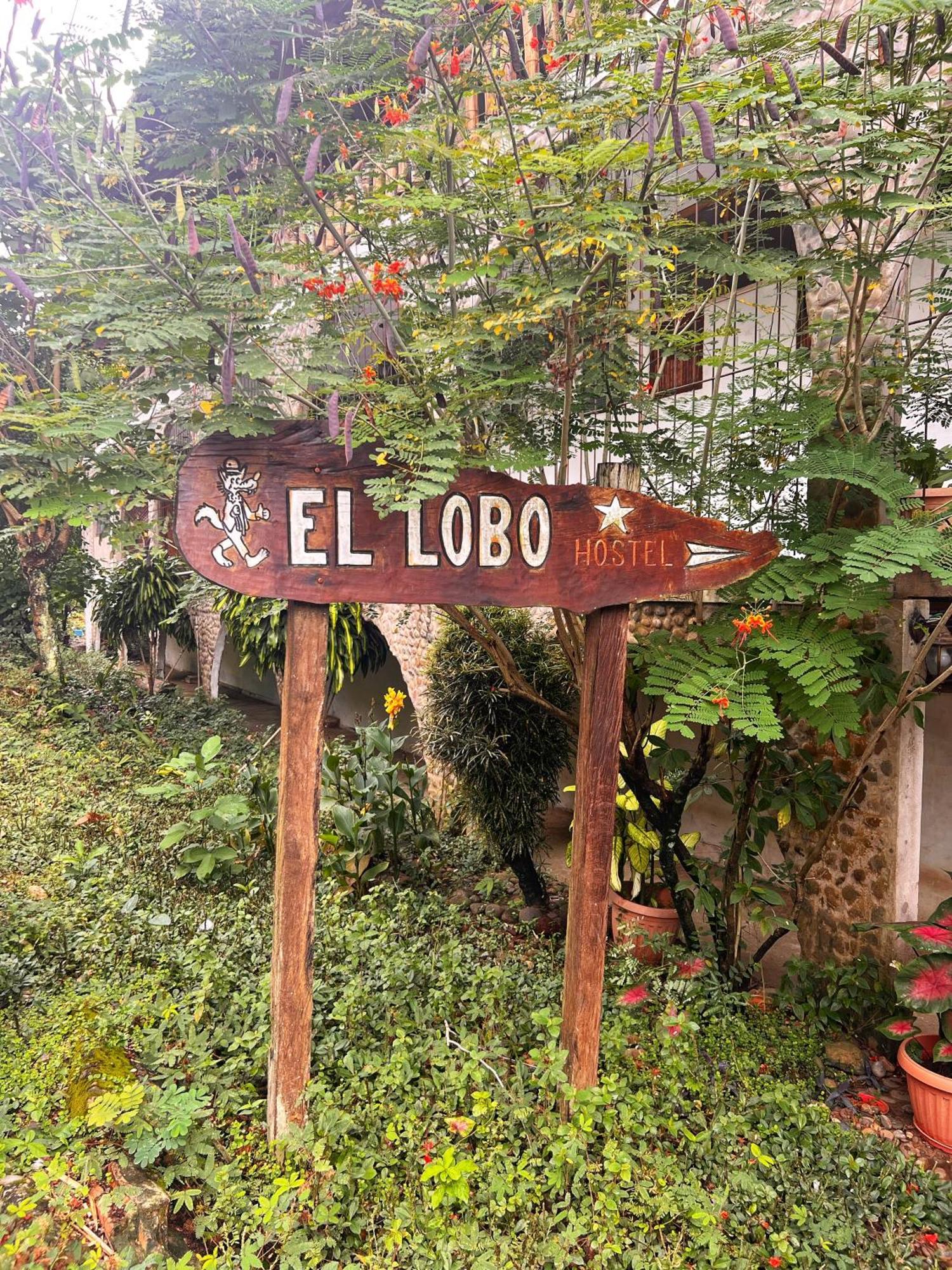 Lobo Hostel - Rurrenabaque (Adults Only) Exterior foto